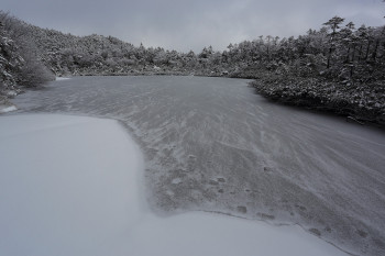 新雪と結氷の七ツ池(11月9日撮影)　Photo by Kenji Shimadate