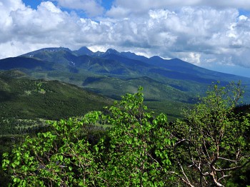 ダケカンバの新緑と八ヶ岳