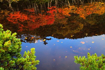 水面の秋　　Photo by Kenji Shimadate
