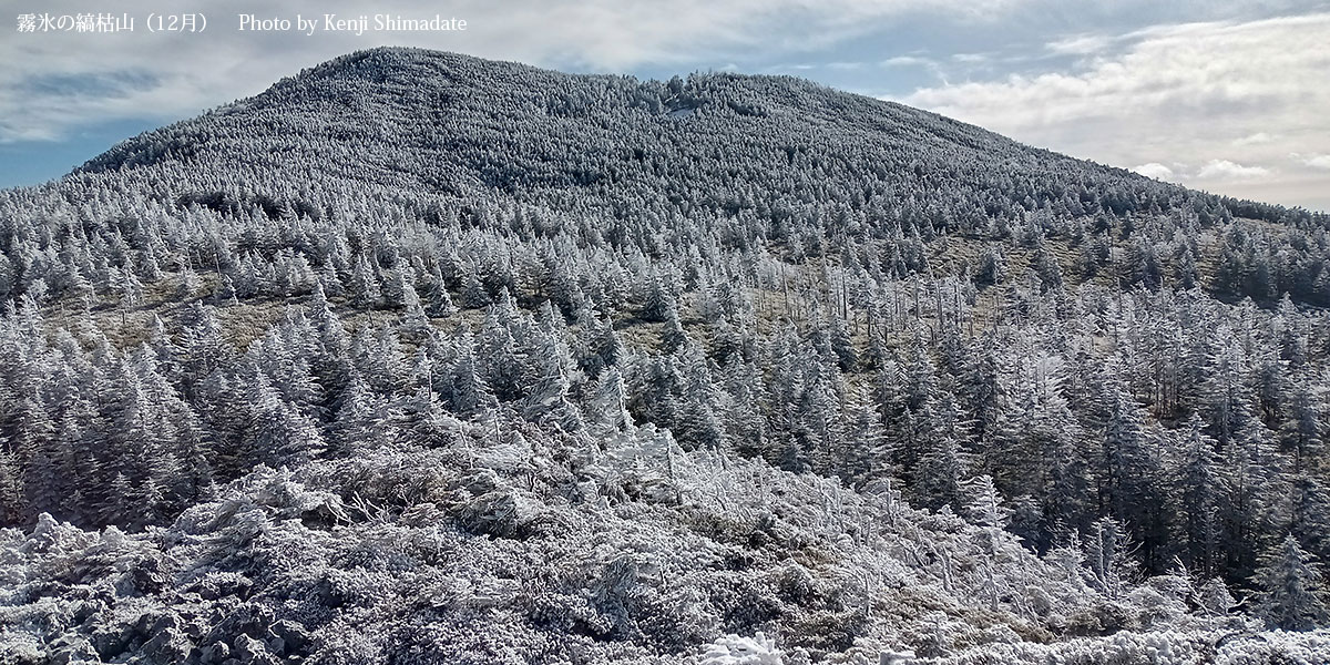 202512sd3_霧氷の縞枯山(12月18日撮影)