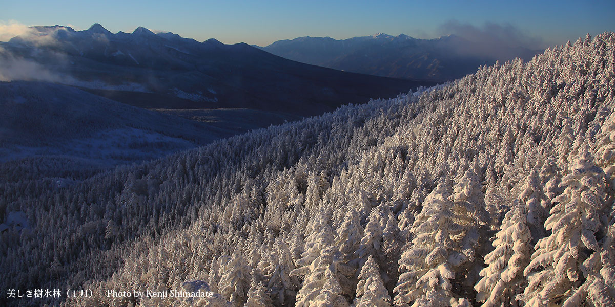 202601sd6_美しき樹氷林(1月13日撮影)