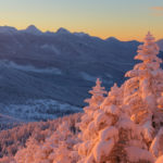 平穏な新年の始まり