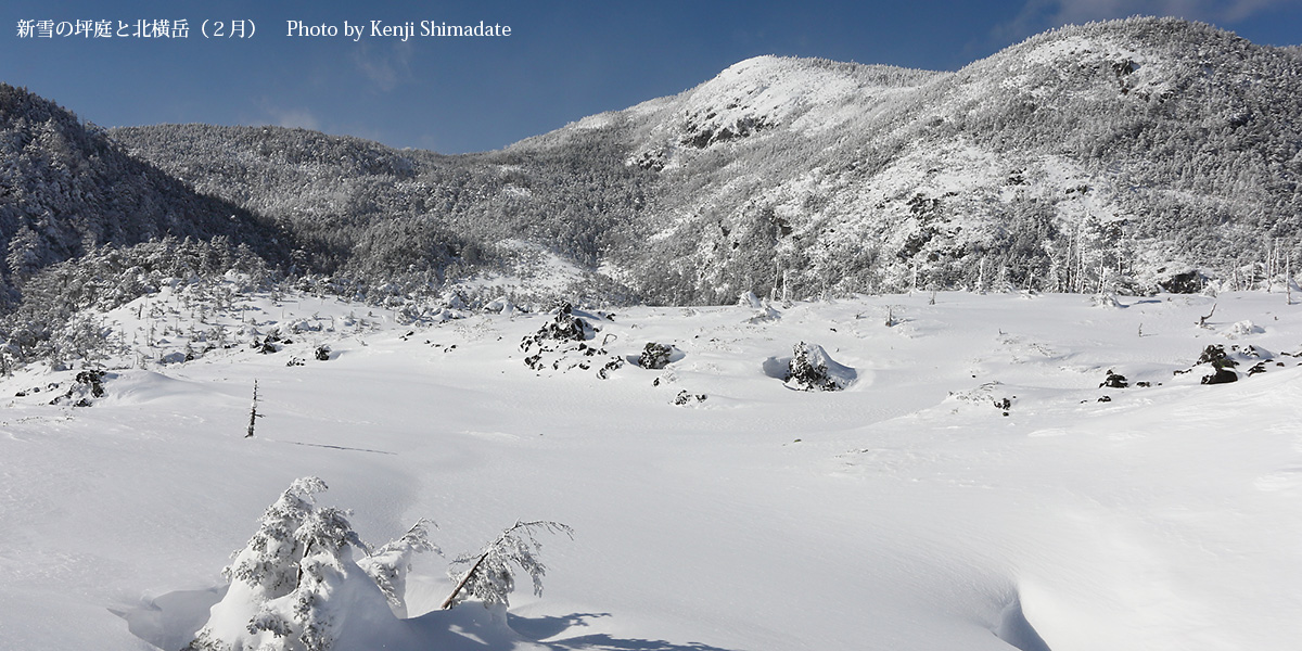 202602sd7_新雪の坪庭と北横岳