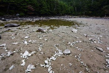 亀甲池と構造土の様子（9月27日撮影）　Photo by Kenji Shimadate