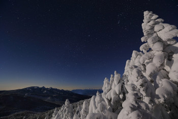 月夜の樹氷　Photo by Kenji Shimadate