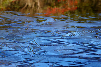 凍る七ツ池（10月15日撮影）　Photo by Kenji Shimadate