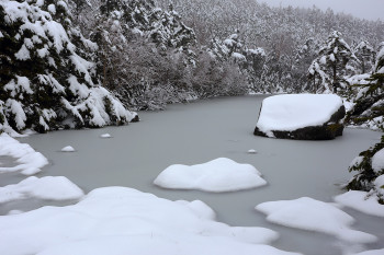 新雪の七ツ池（5月9日撮影）　Photo by Kenji Shimadate
